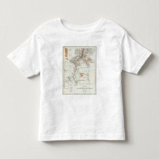 Camiseta De Bebé Territorio de New México