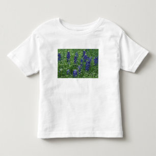 Camiseta De Bebé Texas, Lago Buchanan. Texas Bluebonnet y silvestre