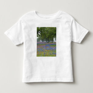 Camiseta De Bebé Texas, región de Texas Hill Country, pincel de Tex