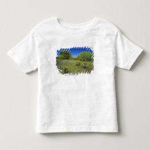 Camiseta De Bebé Texas, Texas Hill Country, Low bladderpod,