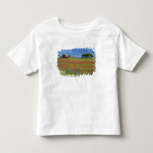 Camiseta De Bebé Texas, Texas Hill Country, pincel de Texas