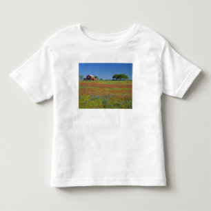 Camiseta De Bebé Texas, Texas Hill Country, pincel de Texas