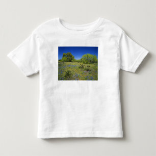 Camiseta De Bebé Texas, Texas Hill Country, Vejiga baja,