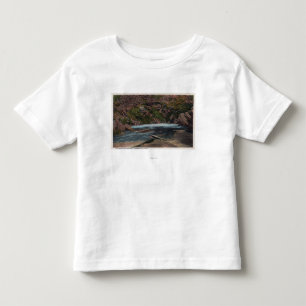 Camiseta De Bebé Thermopolis, WY - opinión de las aguas termales