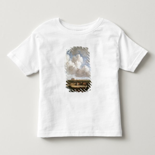 Camiseta De Bebé Tierra del blanqueo (Anverso)