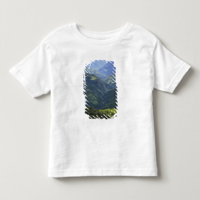 Camiseta De Bebé Tierras agrícolas y bosque de Himalaya en el valle (Anverso)