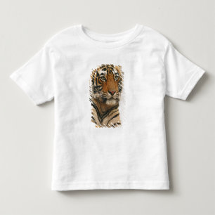 Camiseta De Bebé Tigre de Bengala Real sobre la roca, Ranthambhor