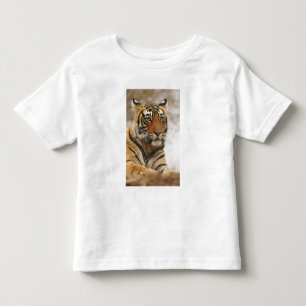 Camiseta De Bebé Tigre de Bengala Real sobre la roca, Ranthambhor