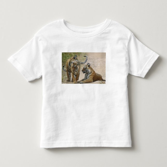 Camiseta De Bebé Tigre de Bengala Real y los jóvenes, Ranthambhor (Anverso)