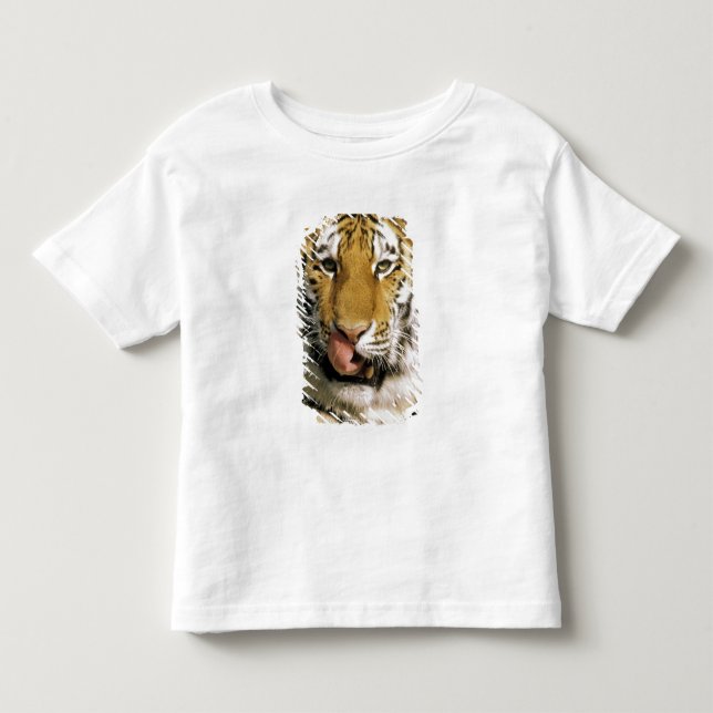 Camiseta De Bebé Tigre Zoológico de Michigan (Anverso)