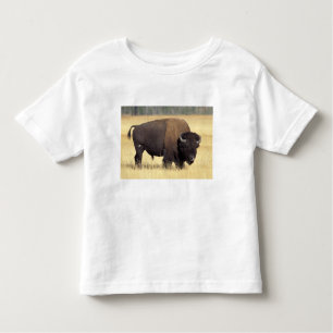 Camiseta De Bebé Toro de Bison en Yellowstone National