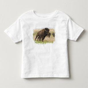 Camiseta De Bebé Toro de bisonte joven y fogoso en Tallgrass