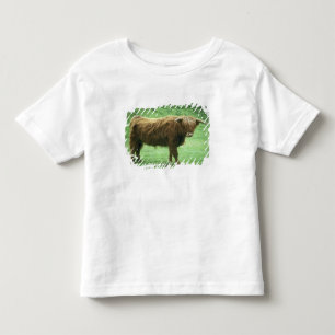 Camiseta De Bebé Toro de las Tierras Altas, Isla de Mull, Interior