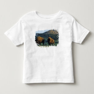 Camiseta De Bebé Toros de bisonte en el Parque Nacional Waterton La