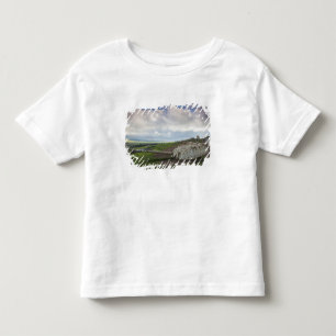 Camiseta De Bebé Torreta de tanque israelí apunta a Qunietra