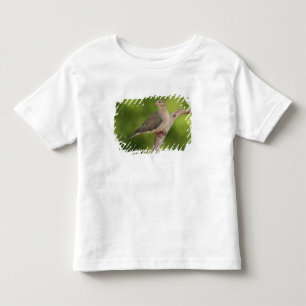 Camiseta De Bebé Tórtola Huilota, Zenaida macroura