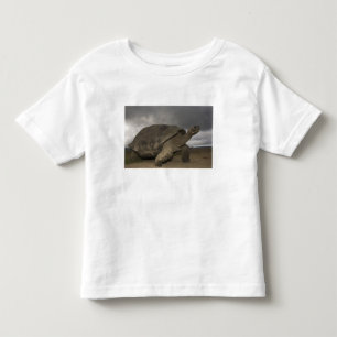 Camiseta De Bebé Tortuga gigante de Galapagos Geochelone