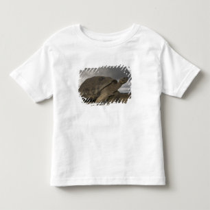 Camiseta De Bebé Tortuga gigante de Galapagos Geochelone
