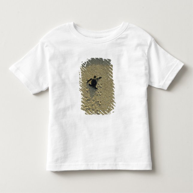 Camiseta De Bebé Tortuga verde (Chelonia mydas), incubadora (Anverso)