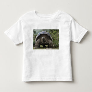 Camiseta De Bebé Tortugas gigantes de Galápagos