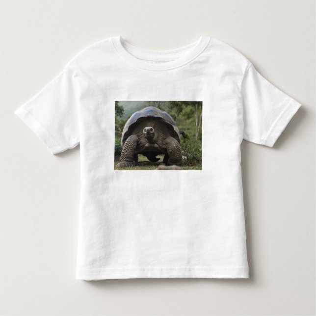 Camiseta De Bebé Tortugas gigantes de Galápagos (Anverso)