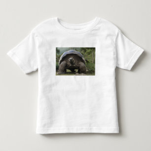 Camiseta De Bebé Tortugas Gigantes de Galapagos Geochelone