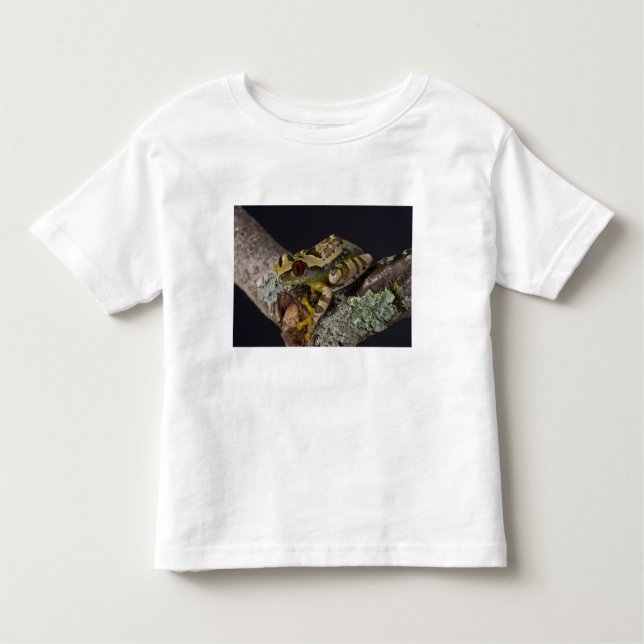 Camiseta De Bebé Treefrog Africano de Ojos Rojos, Leptopelis (Anverso)