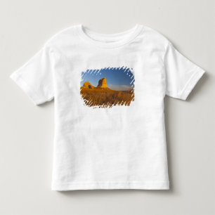 Camiseta De Bebé Tribunal y Jailhouse Rock cerca de Bridgeport