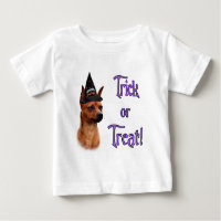Trick de Pinscher en miniatura