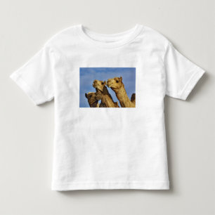 Camiseta De Bebé Trío de camellos, mercado de camellos, El Cairo, E