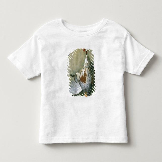 Camiseta De Bebé Trompe - l ' oeil con la perdiz, 1666 (Anverso)