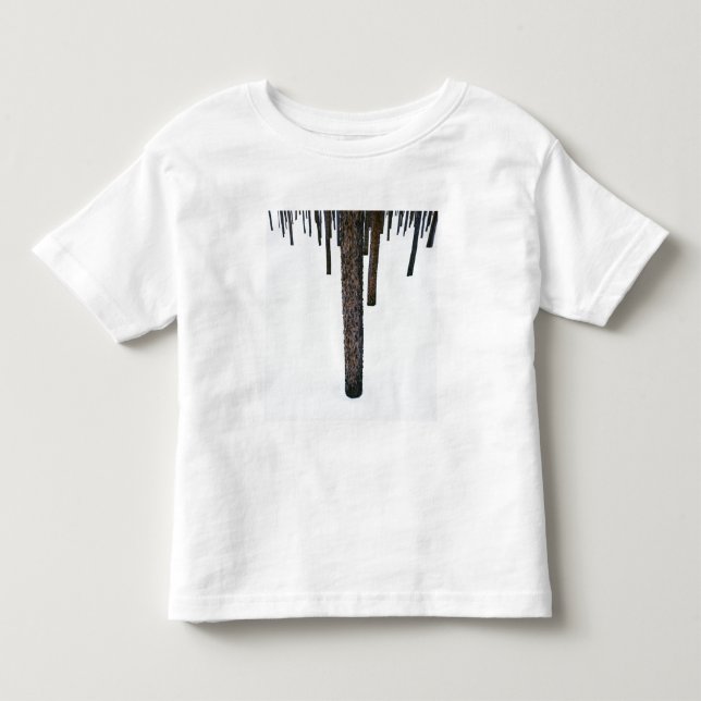 Camiseta De Bebé Troncos de árbol en nieve (Anverso)