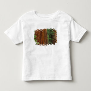 Camiseta De Bebé troncos de secuoya gigante en el bosque, Yosemite