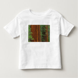 Camiseta De Bebé Troncos Sequoia gigantes en el bosque, Yosemite