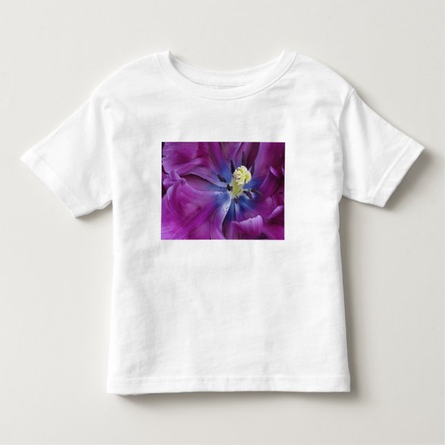 Camiseta De Bebé Tulipán cerca, Keukenhof Gardens, Lisse, 2 (Anverso)