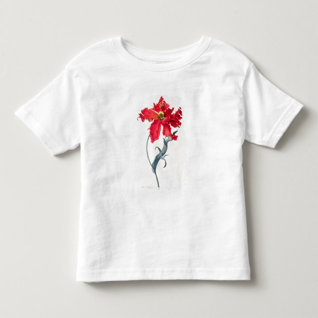 Camiseta De Bebé Tulipán: Colorete de Perroquet (Anverso)