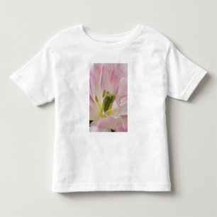 Camiseta De Bebé Tulipán en primer plano, Jardines Keukenhof, Lisse