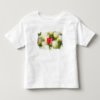 Camiseta De Bebé Tulipán rojo en un campo de los tulipanes blancos