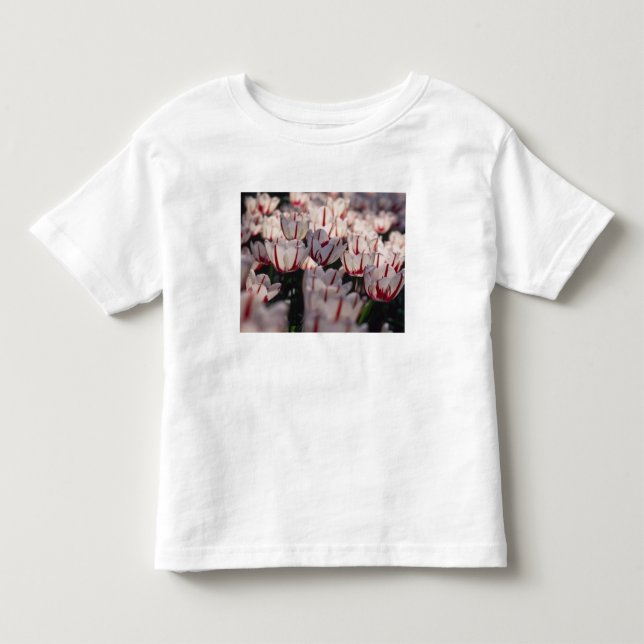 Camiseta De Bebé Tulipanes (Anverso)