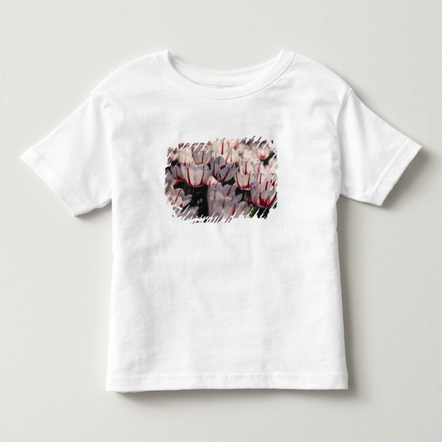 Camiseta De Bebé Tulipanes (Anverso)