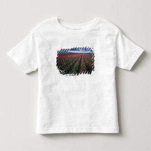 Camiseta De Bebé Tulipanes brillantes rosados y rojos brillan bajo 