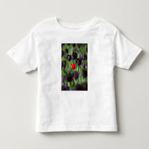 Camiseta De Bebé Tulipanes en los jardines de Keukenhof, Ámsterdam,