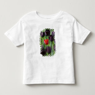 Camiseta De Bebé Tulipanes en los jardines de Keukenhof, Ámsterdam,