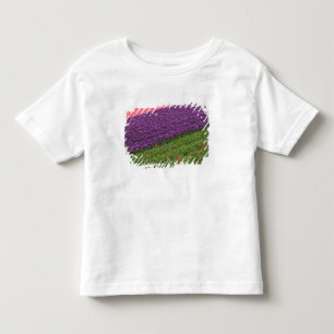 Camiseta De Bebé Tulipanes en los jardines de Keukenhof, Ámsterdam,
