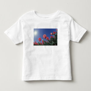 Camiseta De Bebé Tulipanes rojos desde un ángulo muy bajo, Cincinna