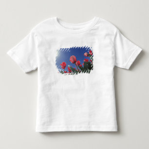 Camiseta De Bebé Tulipanes rojos desde un ángulo muy bajo, Cincinna