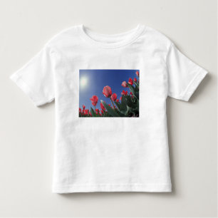 Camiseta De Bebé Tulipanes rojos en ángulo muy bajo, Cincinnati,