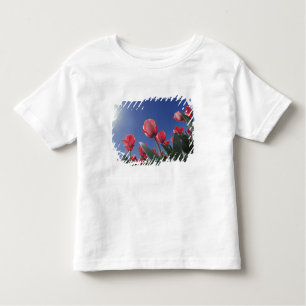 Camiseta De Bebé Tulipanes rojos en ángulo muy bajo, Cincinnati,