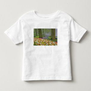 Camiseta De Bebé Tulipanes y carretera, Jardines Keukenhof, Lisse,