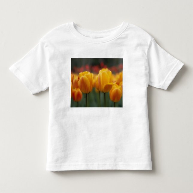 Camiseta De Bebé Tulipanos 2 (Anverso)
